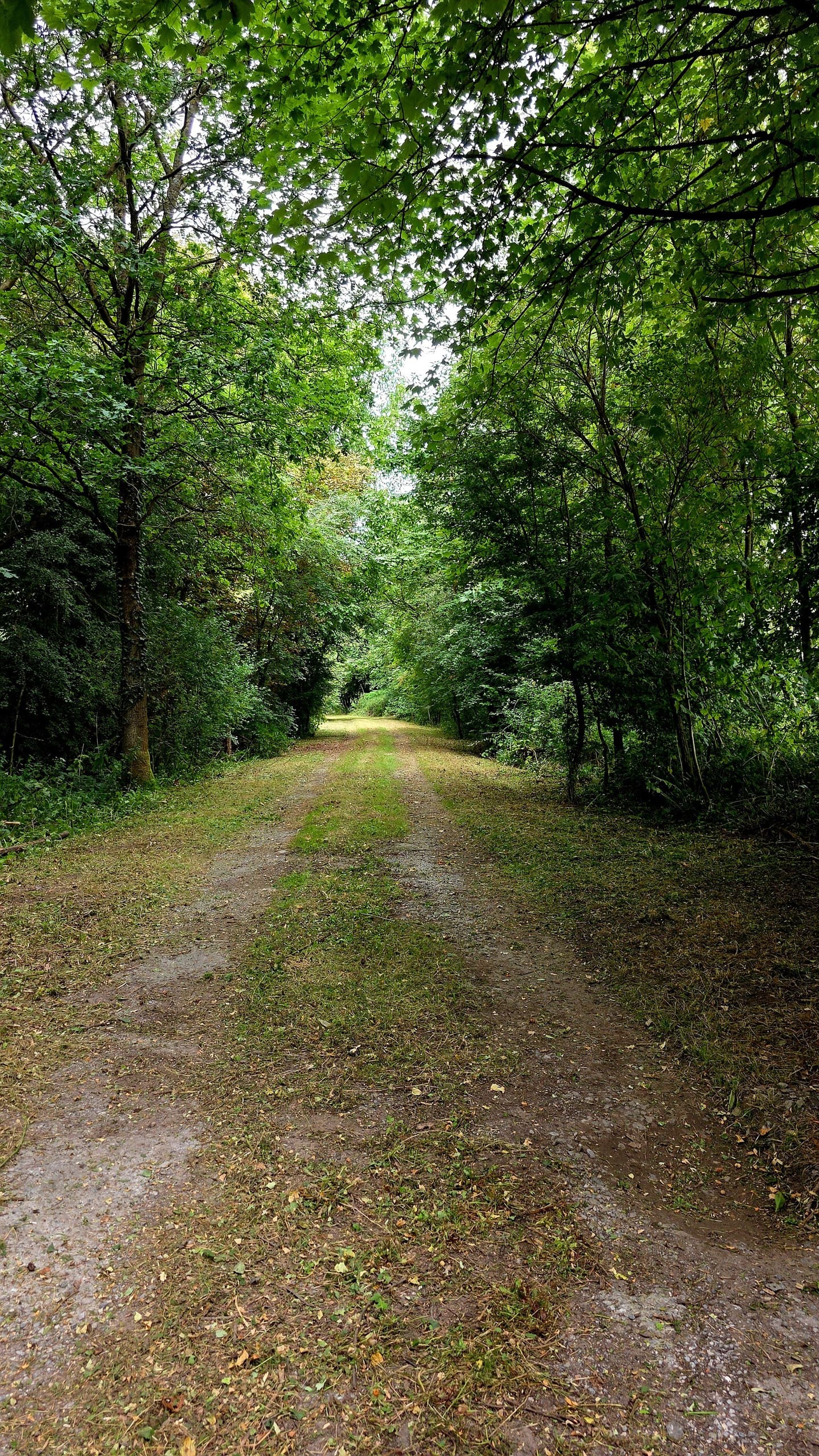 Logement Expérience Nature Belgique - Spot Nature Étang Privé Courcelles